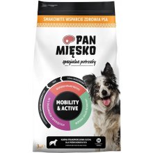 PAN MIĘSKO Special needs Mobility & Active-...