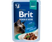 Brit Premium - Cat - Adult - Beef Fillets -...