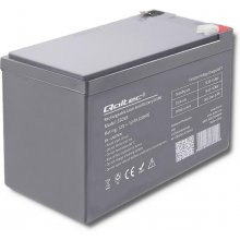 QOLTEC 53049 AGM battery | 12V | 12Ah