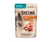 SHELMA kassieine KITTEN kalkunifileed...