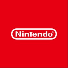 NINTENDO NSW-0113 video game Standard...