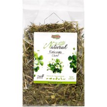 Alegia Clover - treat for rodents and...