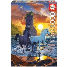 Educa Puzzle 1000 elements Unicorns on the...