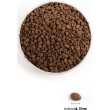 Orijen Regional Red Cat - dry cat food -...