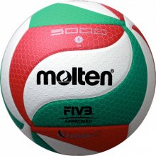 Molten Volleyball ball for competition...