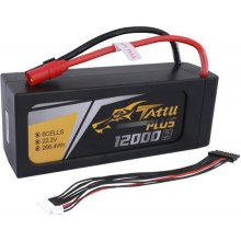 Tattu TAA12K6SP15AX Radio-Controlled (RC)...