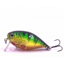 Strike Pro Strike-Pro EG-185F#A102G...
