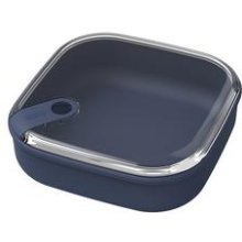 Rotho 1057106250WS Square Container 1 L Blue...
