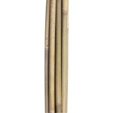 Home4you Bamboo canes IN GARDEN H150cm...