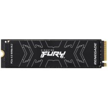 Kingston Technology 4000G FURY RENEGADE M.2...