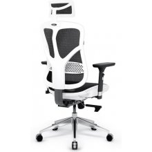 Diablo V-BASIC gaming chair white and black