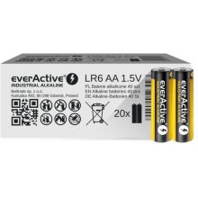 EverActive EVLR6S2IK household battery...