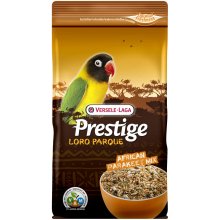 Prestige Loro Parque African Parakeet mix...