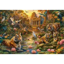 Castor Puzzles 1000 elements Tigers Paradise