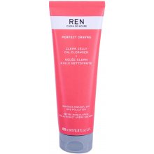 REN Clean Skincare Perfect Canvas Clean...