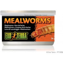 Exo Terra Mealworms 34g