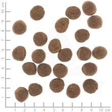 WOLFSBLUT VetLine Gastrointestinal Duck -...