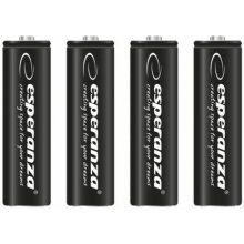 Esperanza EZA106 household battery AA...