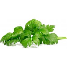 Click & Grow Smart Garden Refill Leaf Celery...