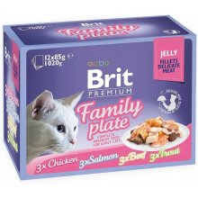 Brit Premium Cat Pouch Jelly Fillet Family...