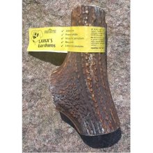 Laikas Gardums Natural deer antler for dogs...