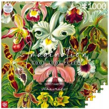 Cenega Publishing Imagination Puzzle: Ernst...