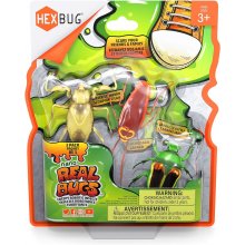 HEXBUG interaktiivne mänguasi Nano Real Bugs...