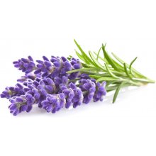 Click & Grow Smart Garden refill Lavendel...