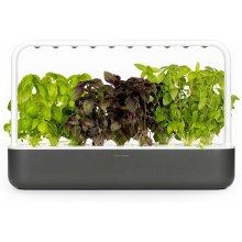 Click & Grow Smart Garden 9, серый