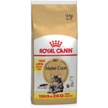 Royal Canin - Cat - Maine Coon - Adult -...