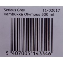 Kambukka Olympus 500 ml, Serious Grey