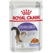 Royal Canin FHN WET Sterilised Jelly 85g