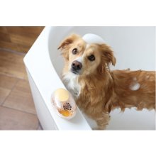 KERBL MagicBrush Bath Brush for Dogs and...