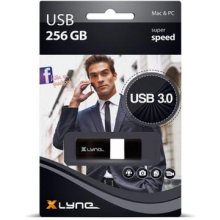 Mälukaart Xlyne 7925600 USB flash drive 256...