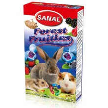 Sanal Forest Fruities snack for rodents