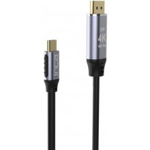 INCA USB Kabel ITCD-20 Typ C > Displayport...