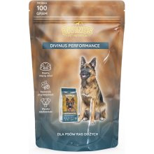 DIVINUS Performance - dry dog food - 100 g