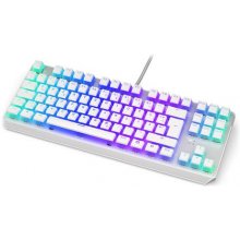 ENDORFY TKL keyboard Gaming USB German White