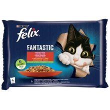 Purina Felix Fantastic country flavors meat...