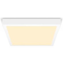 Philips by Signify Philips Functional...