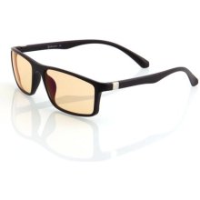 Arozzi Visione VX-200 computer glasses...