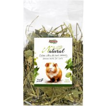 Alegia Green herbs for cavia - treat for...