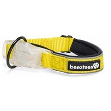 BEEZTEES KOERA KAELARIHM LED + USB PARINCA...