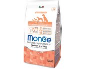 Monge - Dog - Puppy & Junior - All Breeds -...