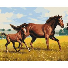 Symag Picture Paint it - Family gallop