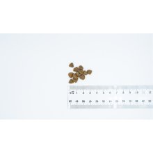 Bult Duck and Turkey Puppy - dry dog food -...