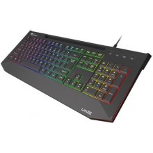 Клавиатура Genesis Lith 400 RGB keyboard...