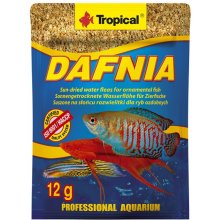 Tropical Daphnia natural - food for fish -...