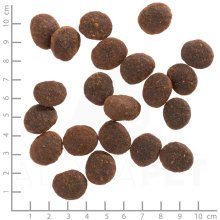 WOLFSBLUT Black Marsh Water buffalo - dry...