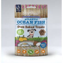 LITTLE BIGPAW KOERA MAIUS OVEN BAKED...